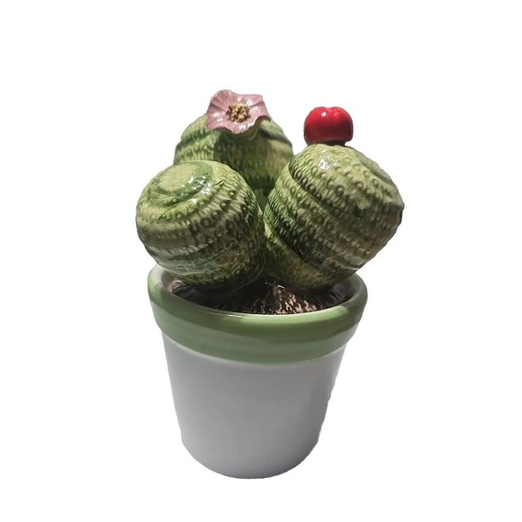 Ceramica Novità Succulents Ceramic Handmade Decorations Made In Italy - Picture 4 of 9